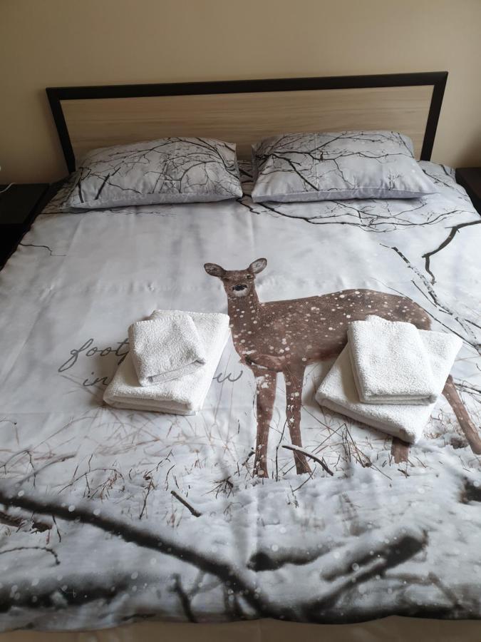 Cosy Apartment - City Centre Blagoevgrad Extérieur photo